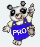 Das Pandabärchen PATRI wünscht als Maskottchen von PRO Heilbronn allen Lesern einen schönen Tag